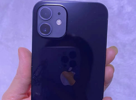 苹果业务机是什么意思啊