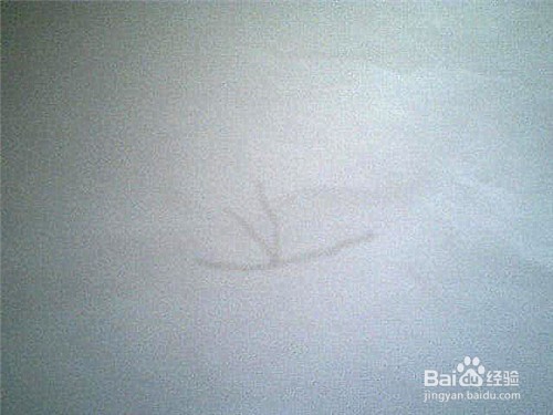 简笔画喇叭花的顶部咋画