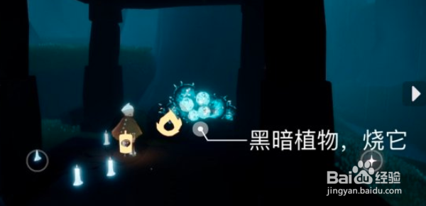 《光遇》7月16日每日任务怎么做