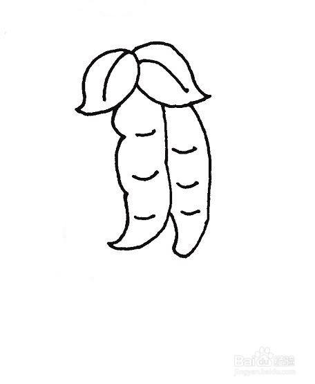 荷兰豆的简笔画