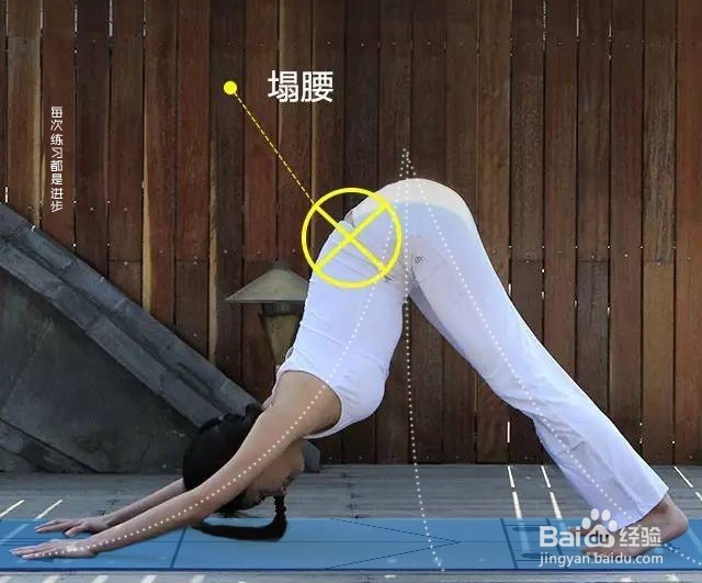 瑜伽下犬式动作分解