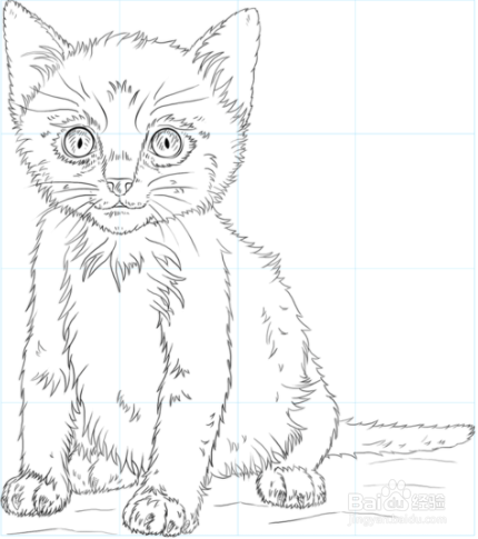 如何画一只可爱的小猫