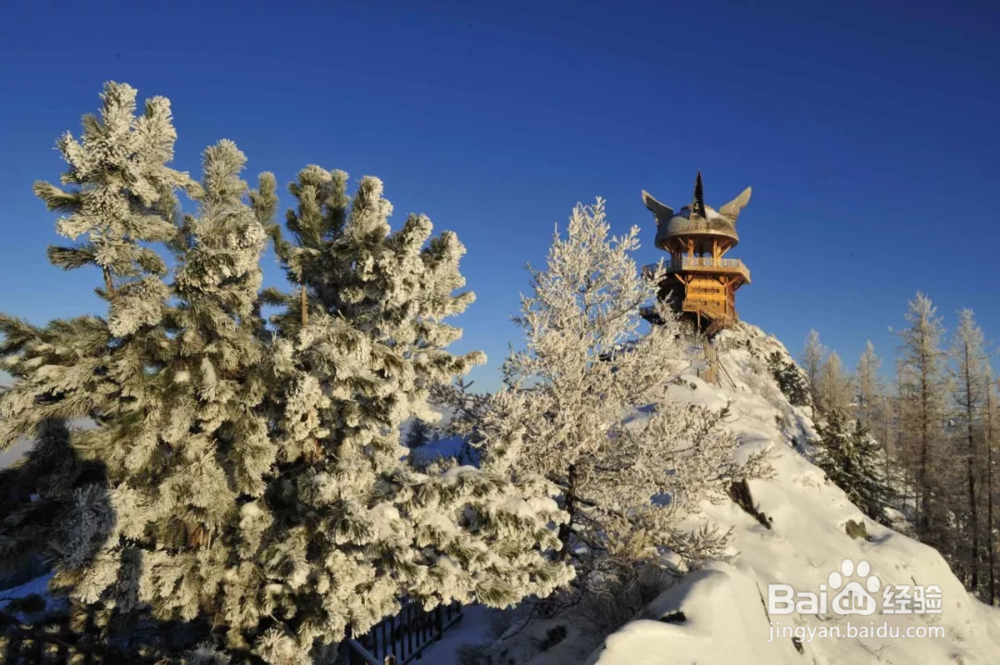 喀纳斯初冬出行指南