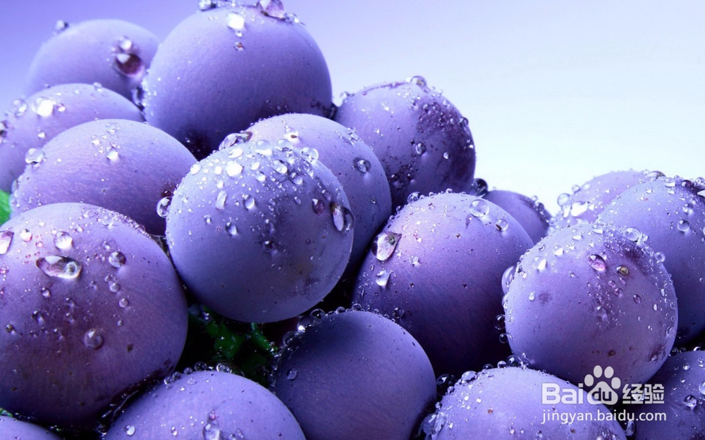 水果怎么保鲜？