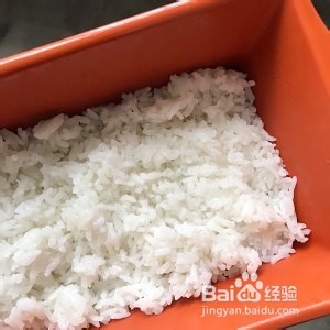 番茄虾球芝士焗饭