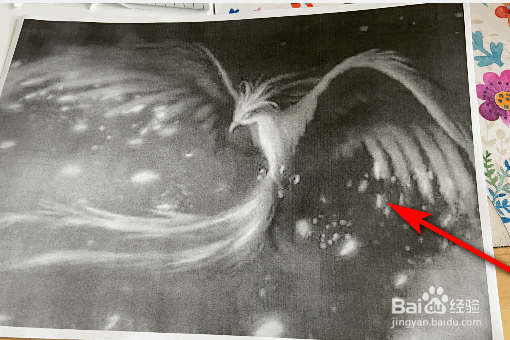 打印机打印时设置成照片模式