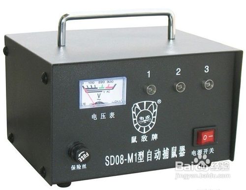 超市灭鼠方法