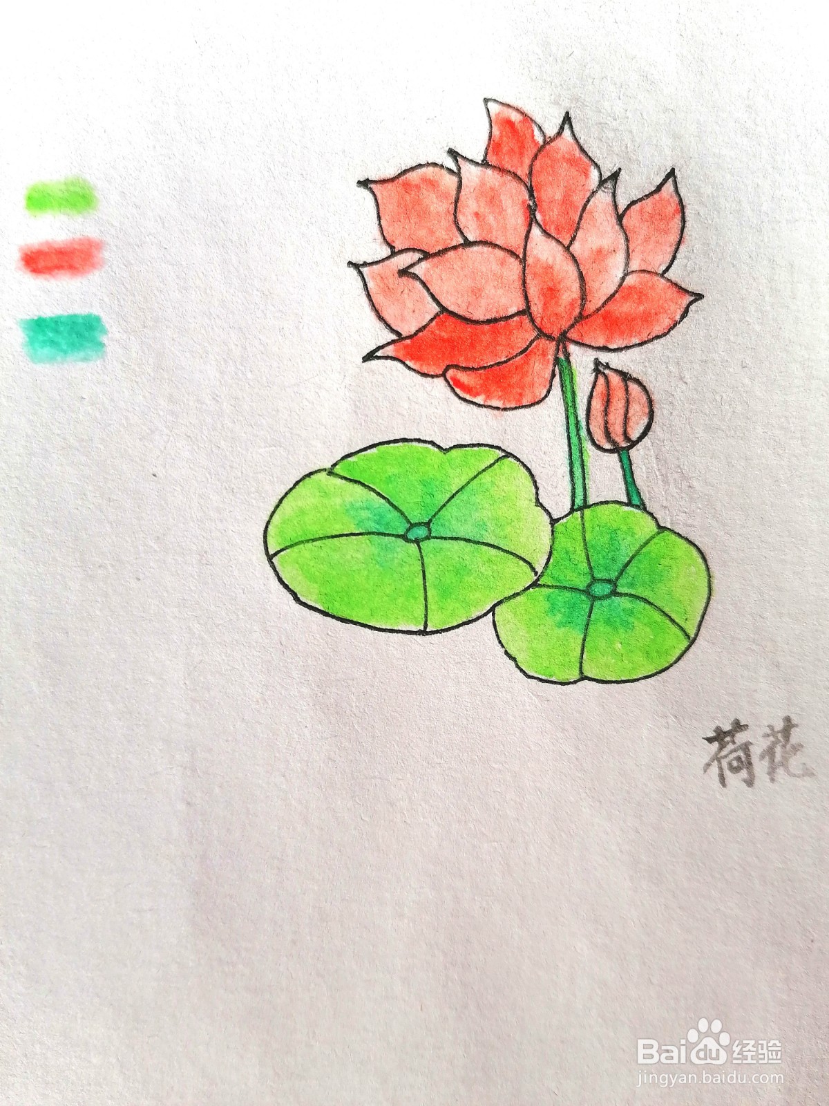 荷花用水彩怎么画