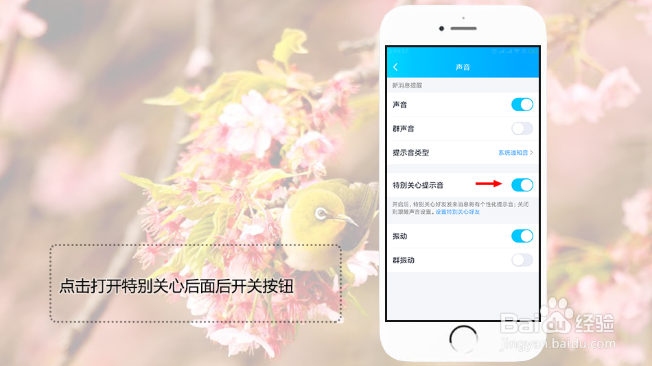 qq怎么设置特别关心个性提示音