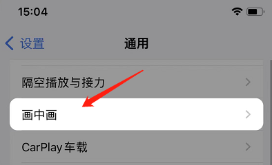 苹果手机如何设置自动开启画中画
