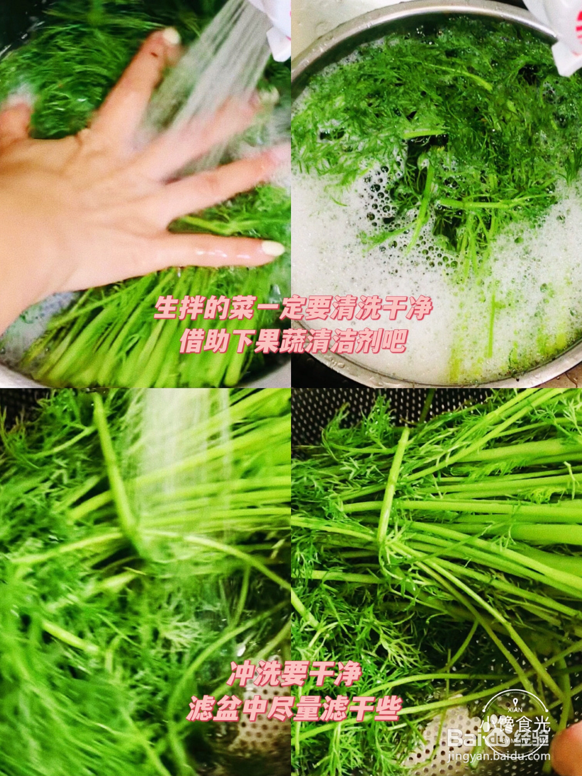 生拌芝麻茴香菜的做法