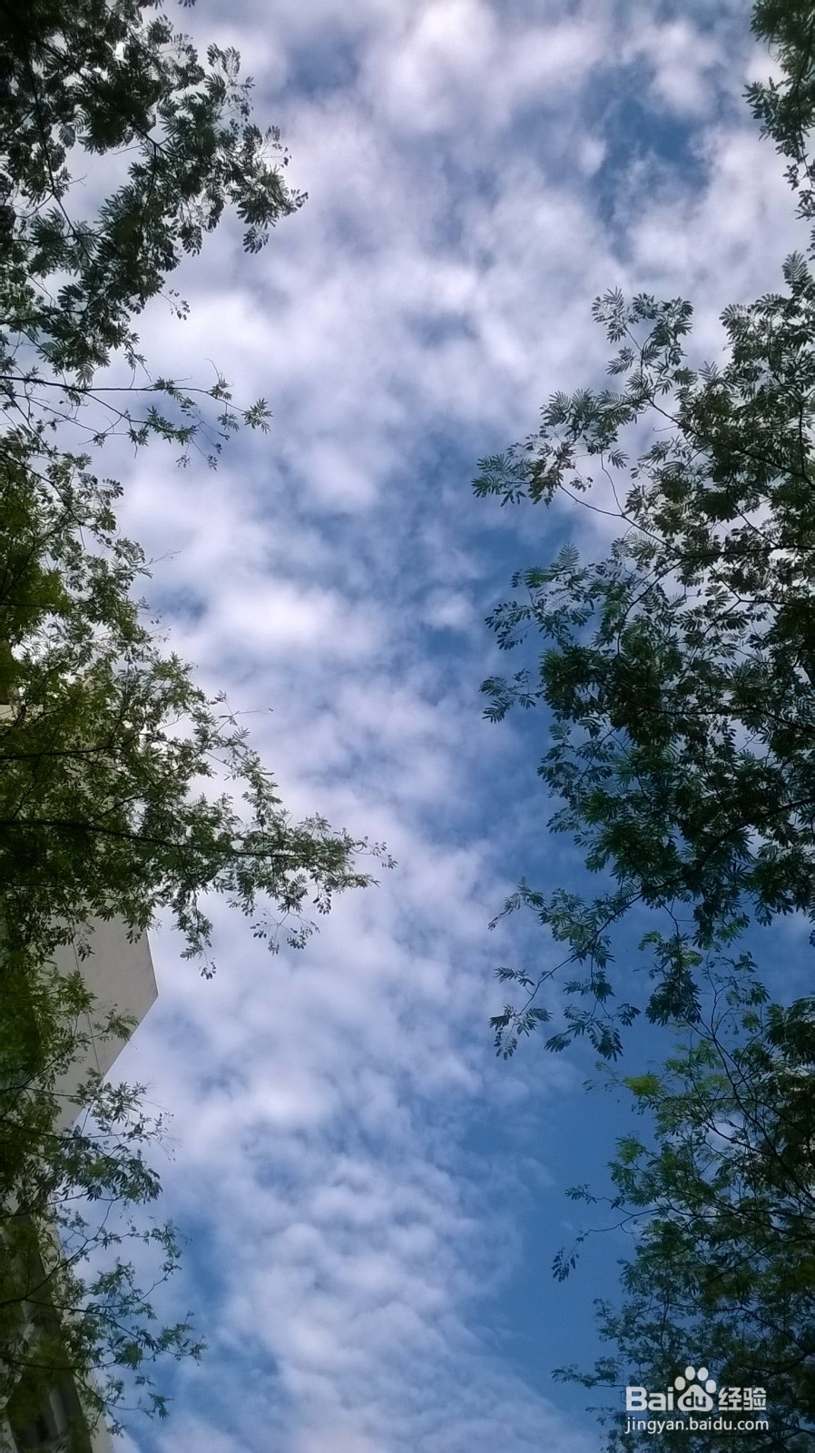 考研各科如何分配时间