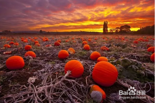 秋季如何拍出好照片？看完这篇文章你就全懂了！