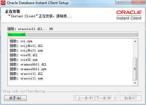 Oracle Database Instant Client 11g安装教程