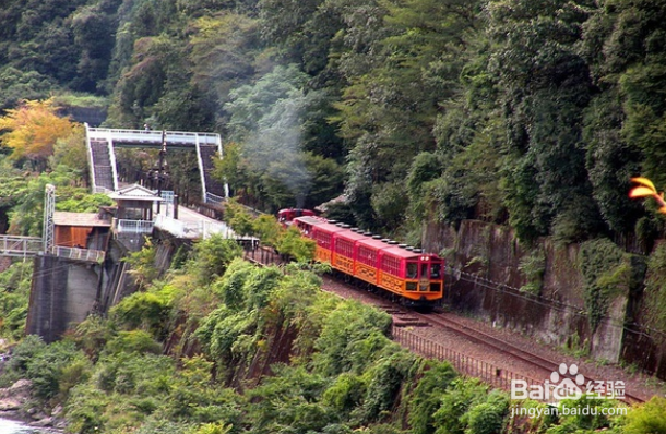 日本岚山一日游攻略?