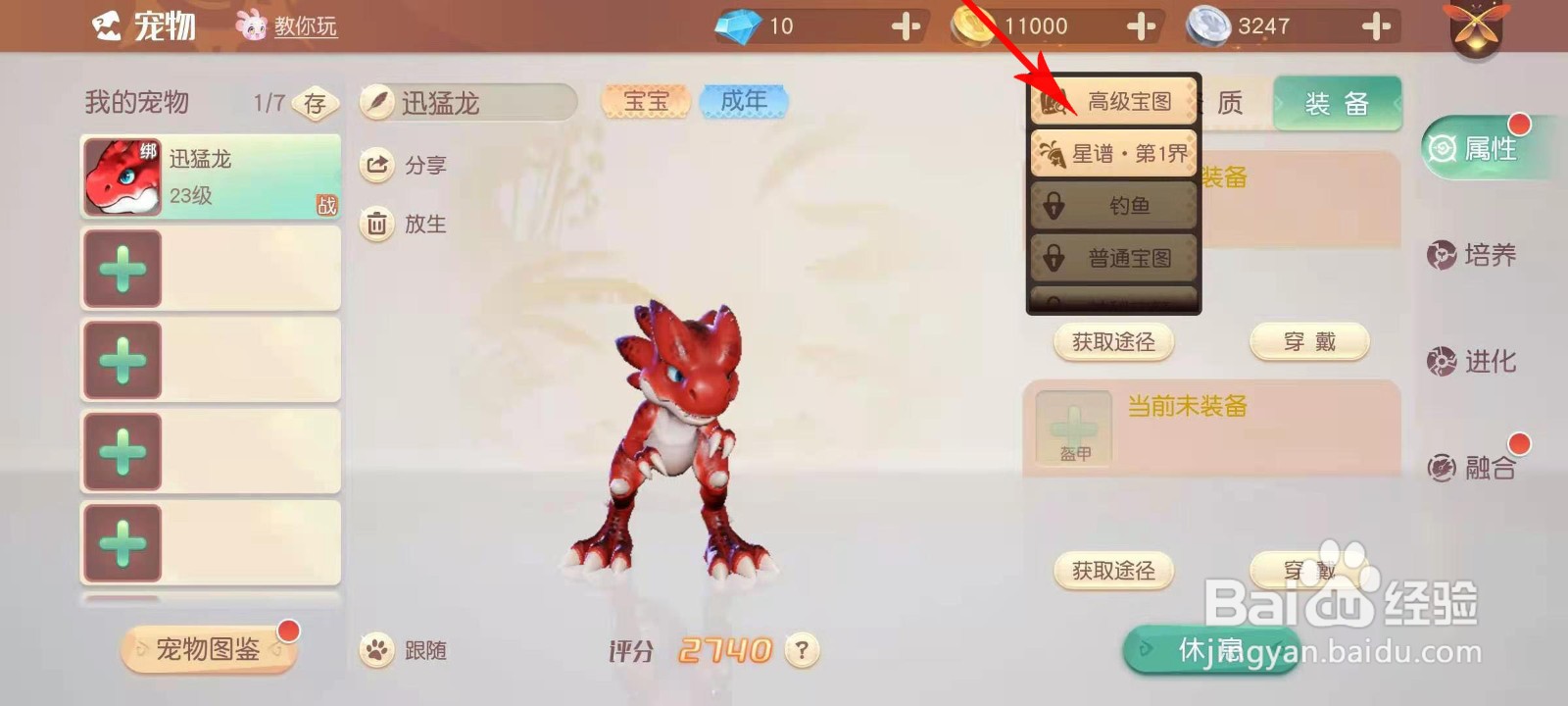 梦想新大陆宠物装备怎么获得