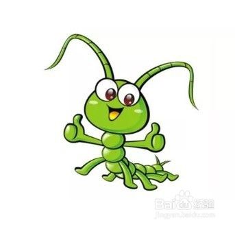 夏季虫蚁叮咬高发期，严重可致死亡
