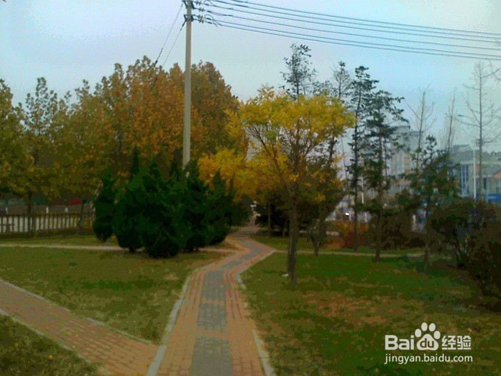 怎样拍秋风扫落叶的画面