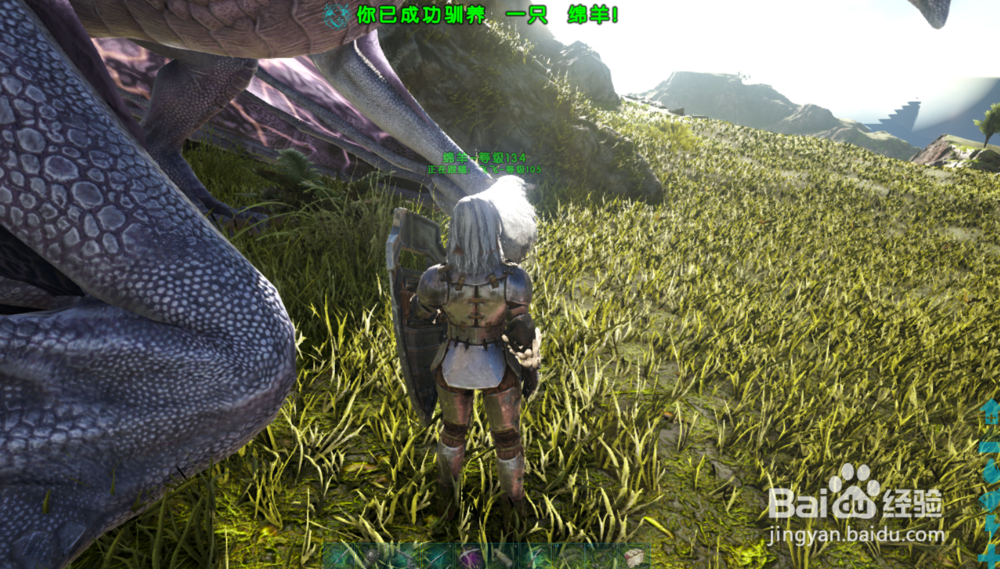 方舟生存进化绵羊怎么训