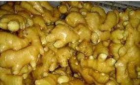 女性经期调理暖身驱寒食谱：[3]暖身驱寒