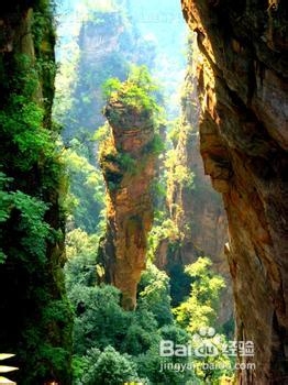 重庆至张家界自助游