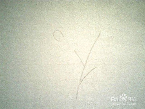 简笔画好看的叶子: