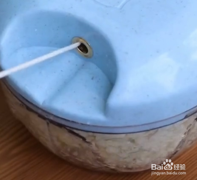 美味的耗油菜心