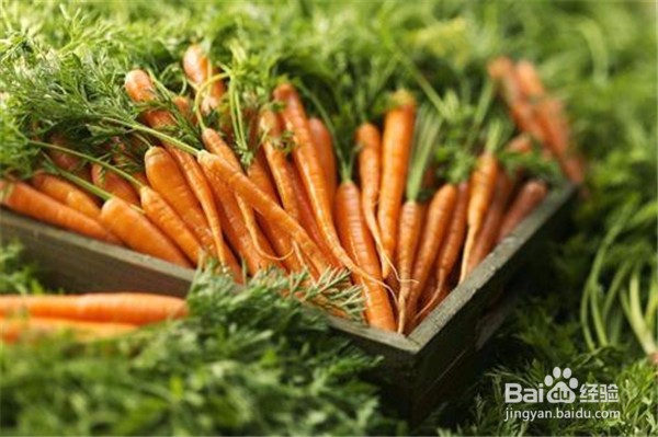 经常用电脑食用哪些食物可以减轻眼睛发干发涩