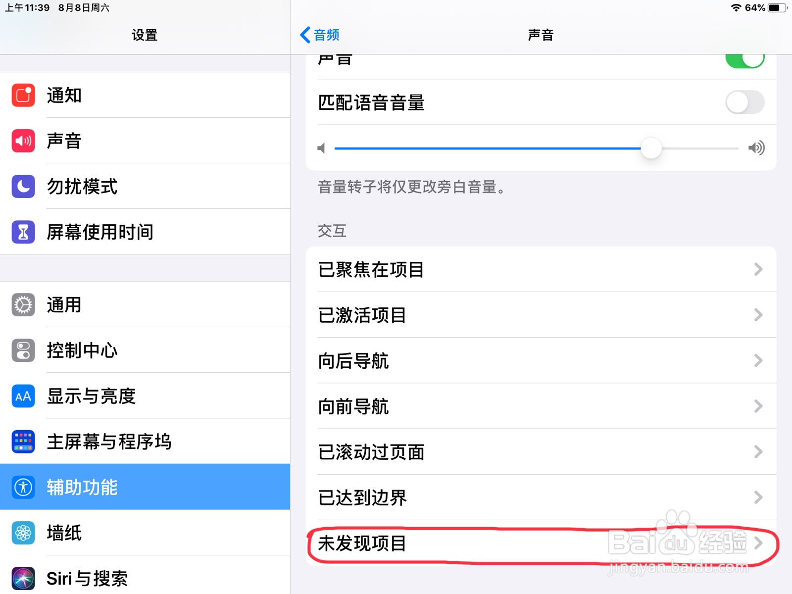 iPad怎么在旁白设置未发现项目的预览