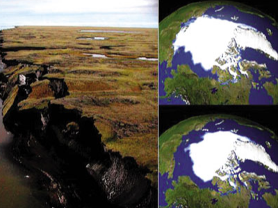 生态灾难给人类生存带来了哪些威胁