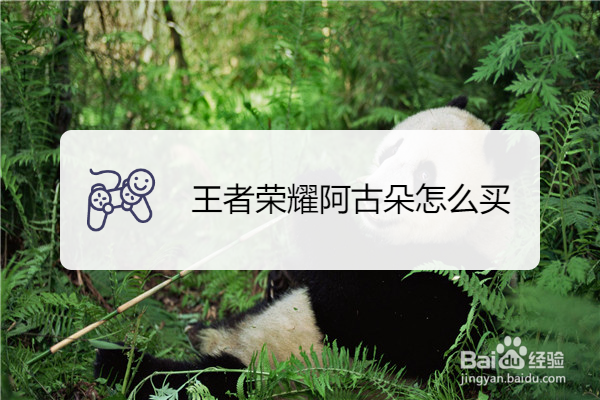 王者荣耀阿古朵怎么买