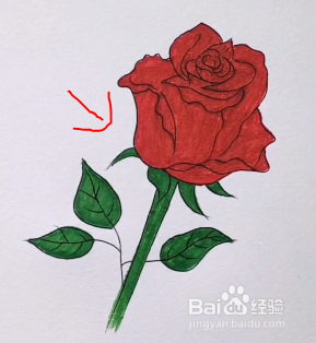 玫瑰怎么画高级