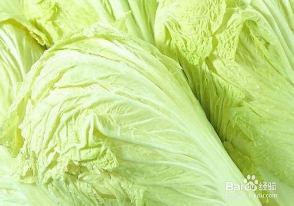 吃白菜的3大禁忌