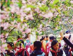 怎样让孩子爱上写作文