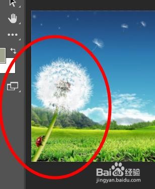 PS如何导出单个图层的内容