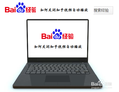 如何关闭知乎视频自动播放