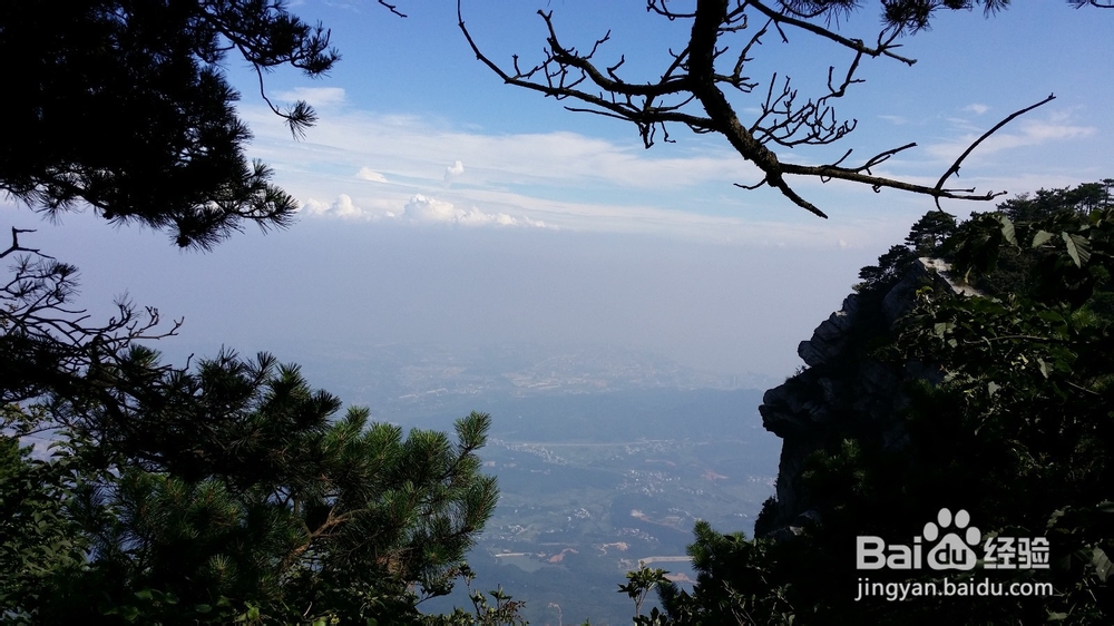 让我带你去旅行