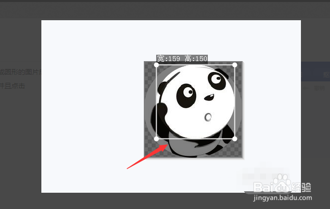 美图秀秀如何将图片裁剪成圆形