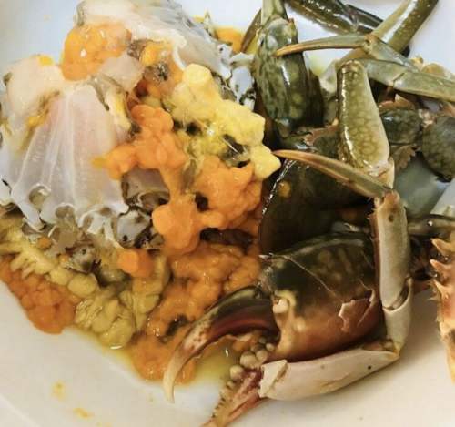 陈五年老酒炖蝤蠓