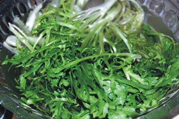 苦苣拌核桃沙拉