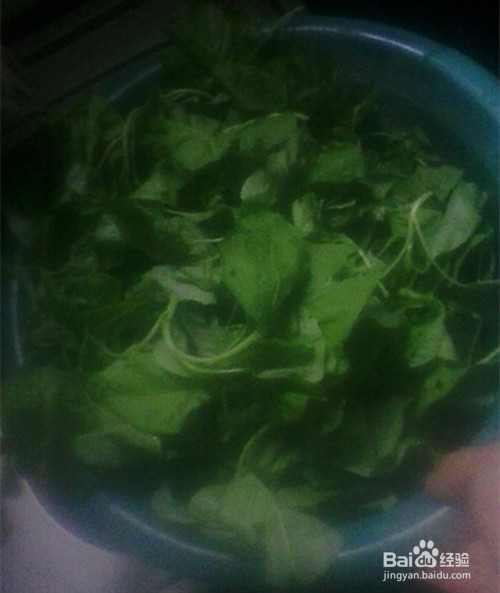美味白汉菜的一种炒法
