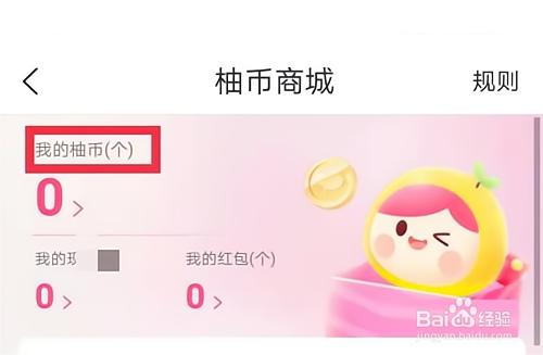 美柚如何查看柚币明细?