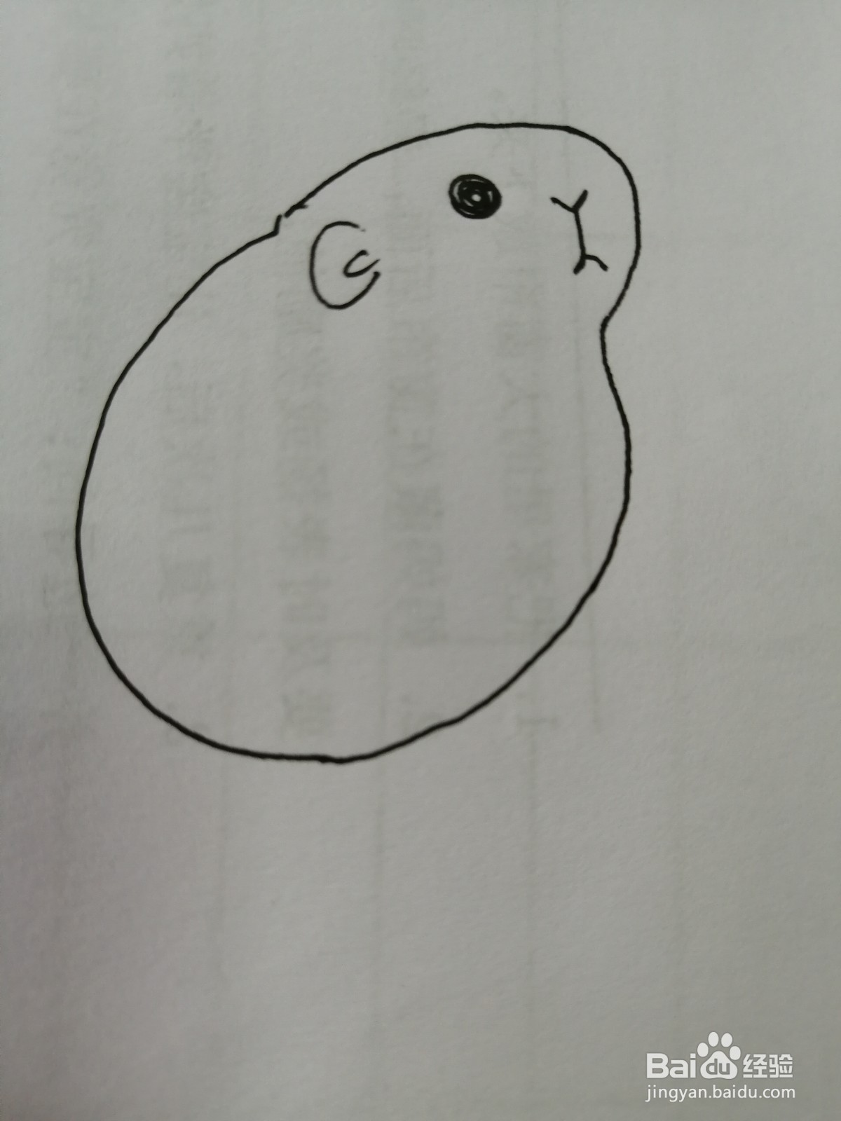 简笔画小仓鼠怎么画