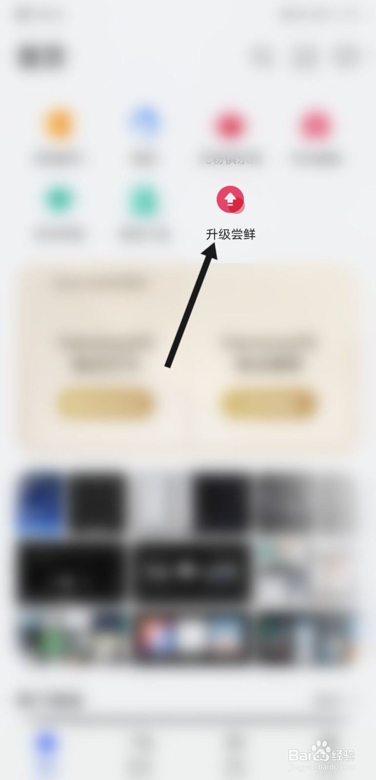 荣耀30pro+怎么申请鸿蒙系统