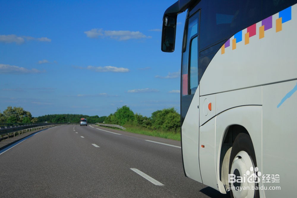 导游如何带好团