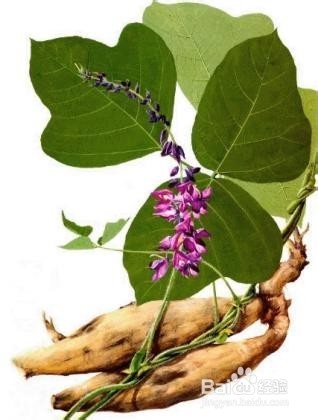 营口到张家界自驾游