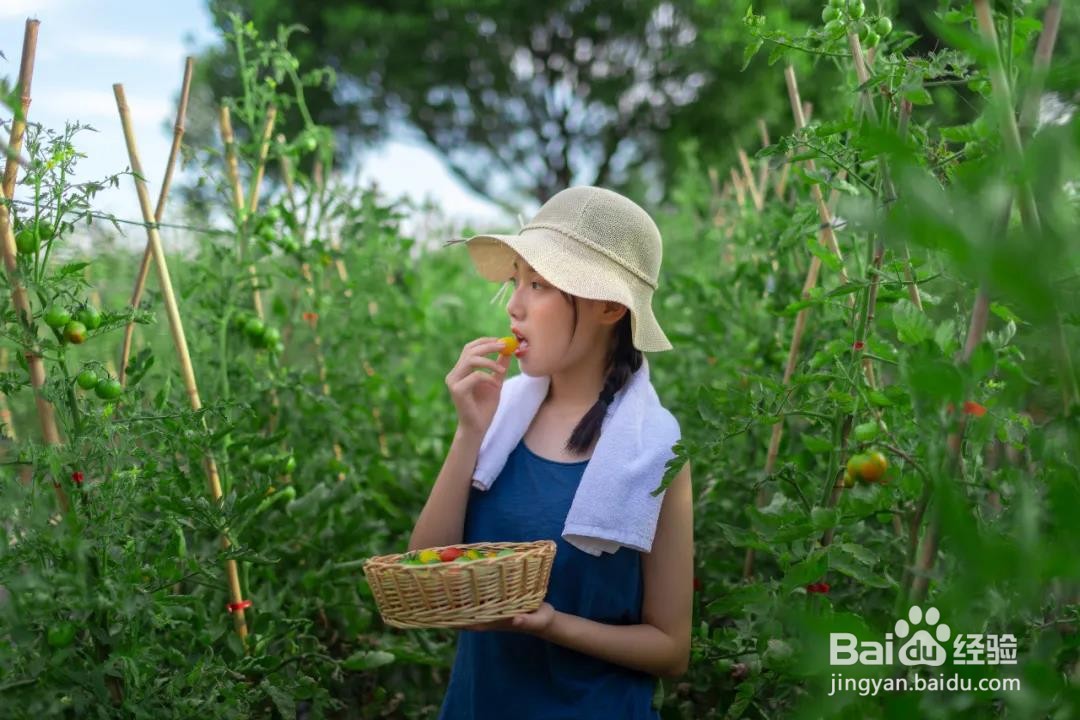 六月,周庄香村的瑜伽之旅攻略