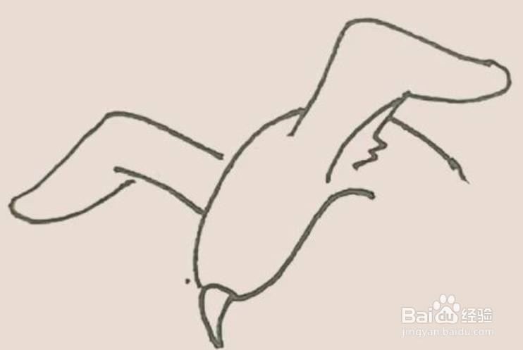 展翅大海鸥简笔画