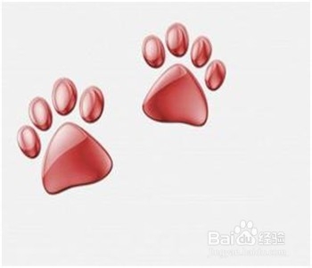 善待生命里的那些人