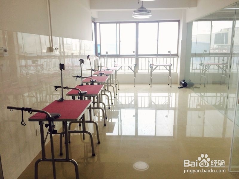 怎样挑选好的宠物美容学校？